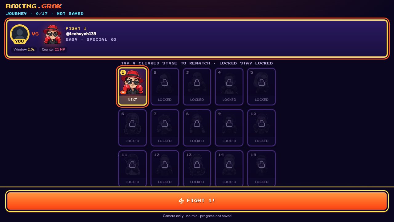 Webcam Boxing screenshot